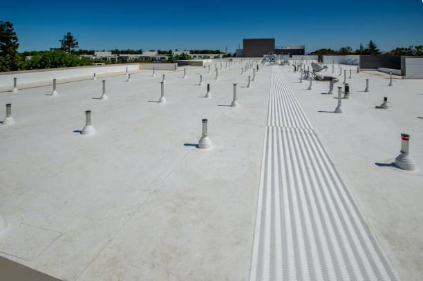 Best Skylight Installation and Repair  in University, MS